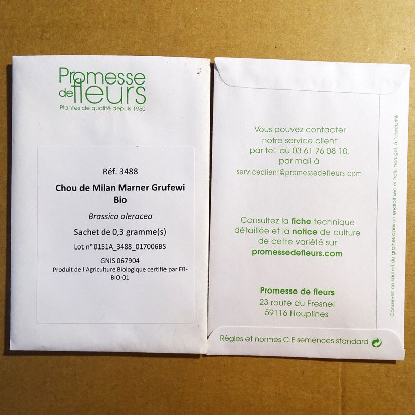 Example of Wirsing Marner Grufewi Bio per pack of 50 seeds as you get