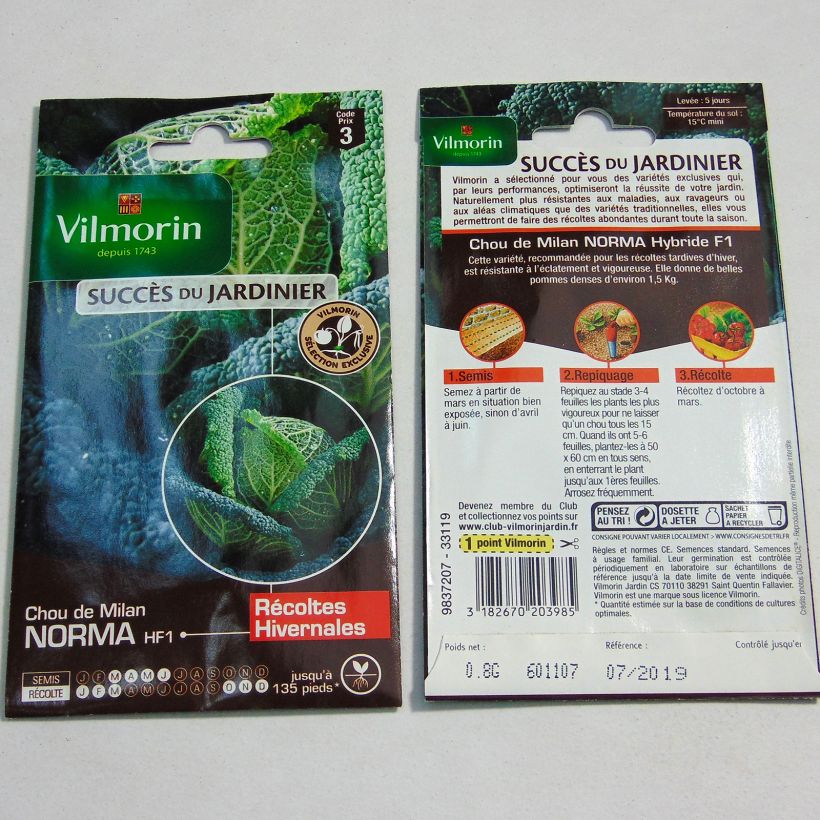 Example of Wirsing Norma F1 - Vilmorin Samen as you get
