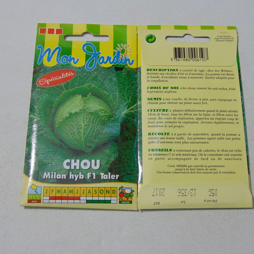 Example of Wirsing Taler F1 per pack of 200 seeds (0.5g) as you get