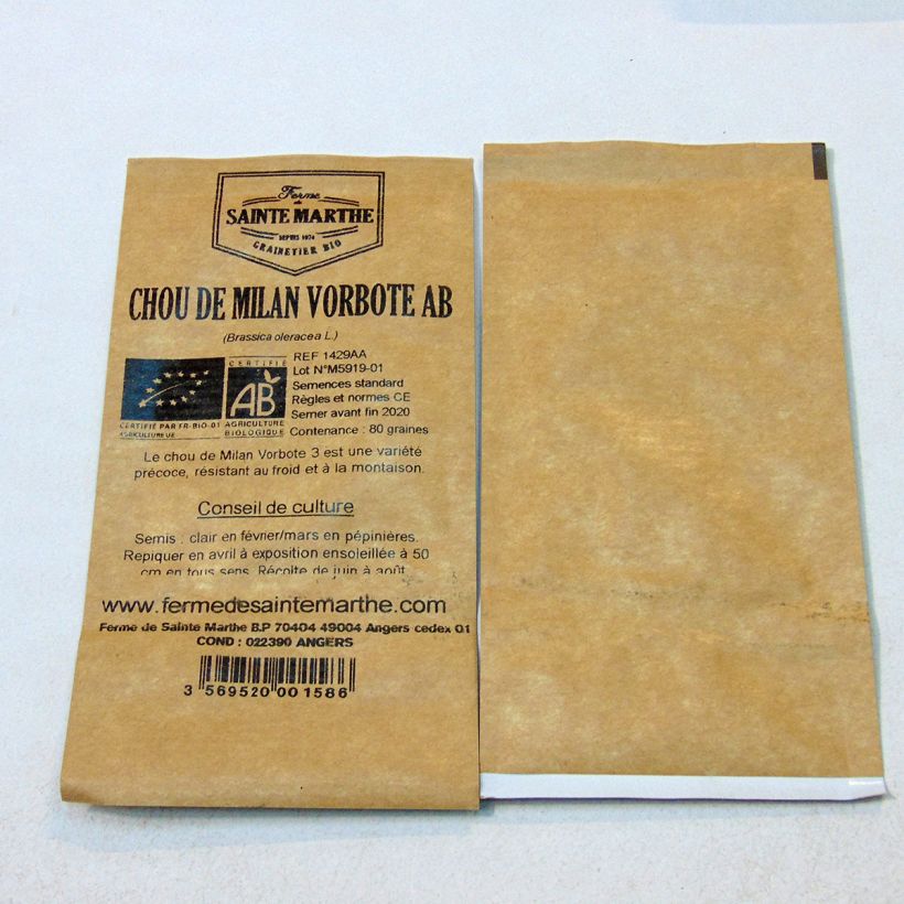Example of Wirsing Vorbote 3 Bio - Ferme de Sainte Marthe per pack of 80 seeds as you get