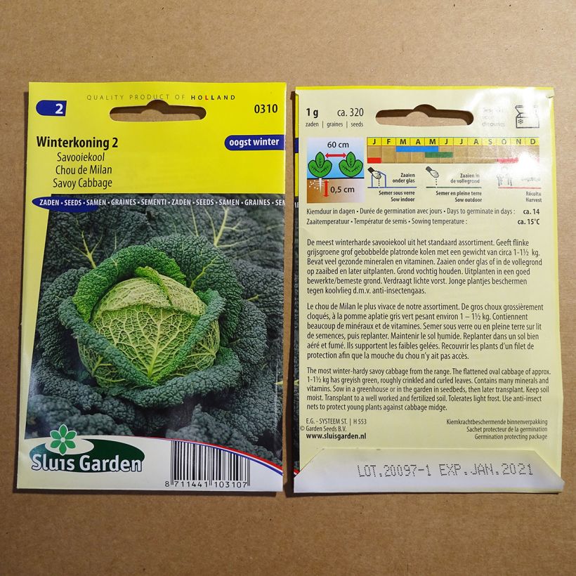 Example of Wirsing Winterkoning 2 per pack of 320 seeds (1g) as you get