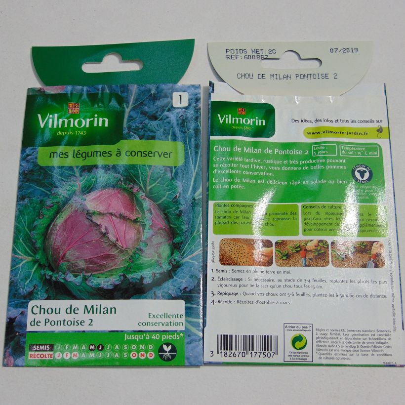 Example of Wirsing de Pontoise - Vilmorin die Tüte mit 1200 Samen (2g) as you get