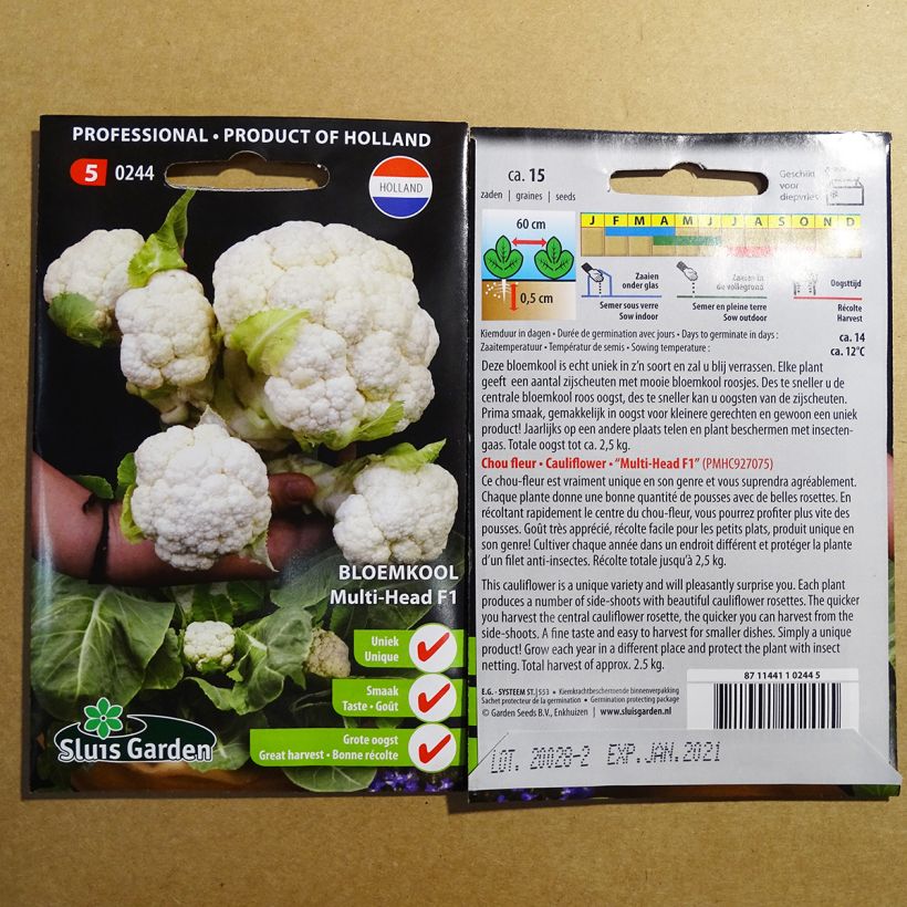 Example of Blumenkohl Multi-head F1 per pack of 15 seeds as you get