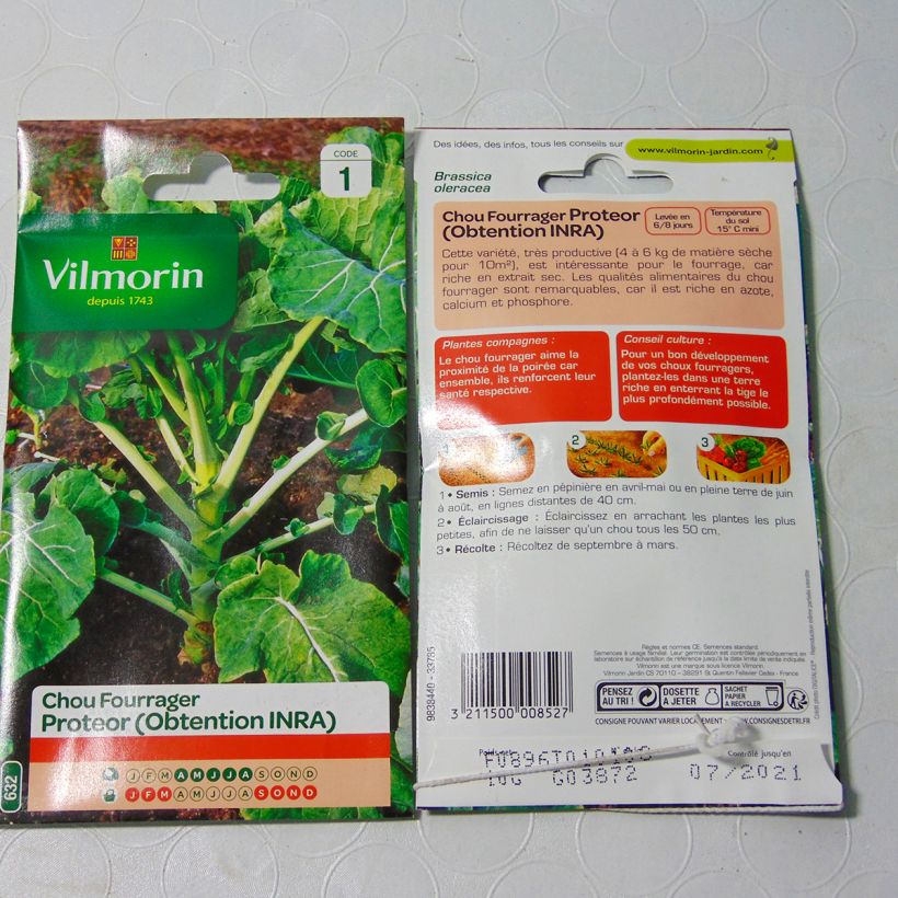 Example of Blattkohl Proteor - Vilmorin die Tüte mit 4000 Samen (10g) as you get