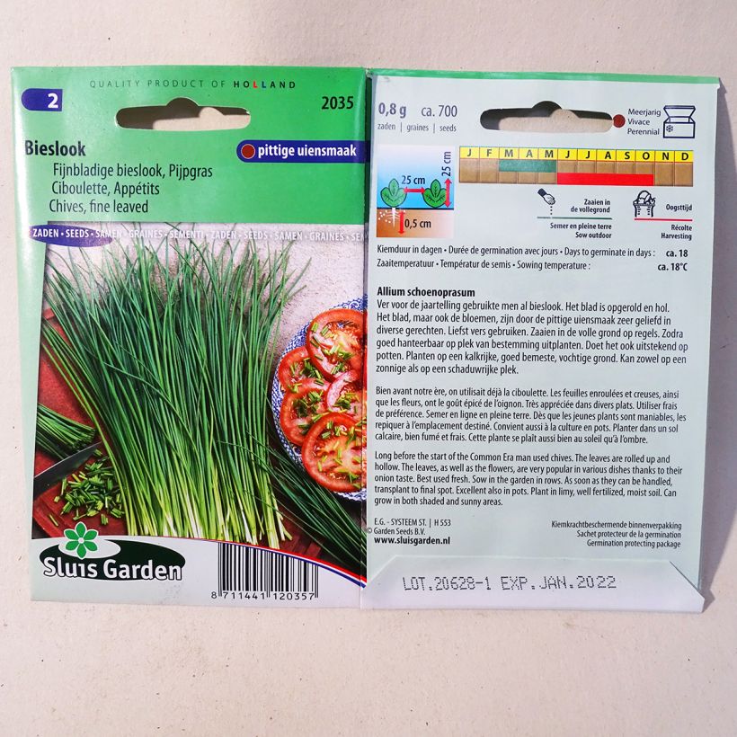 Example of Schnittlauch Appétits per pack of 700 seeds as you get