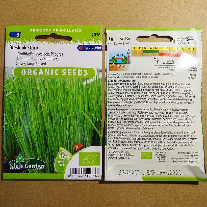 Example of Schnittlauch Staro Bio per pack of 750 seeds (1g) as you get