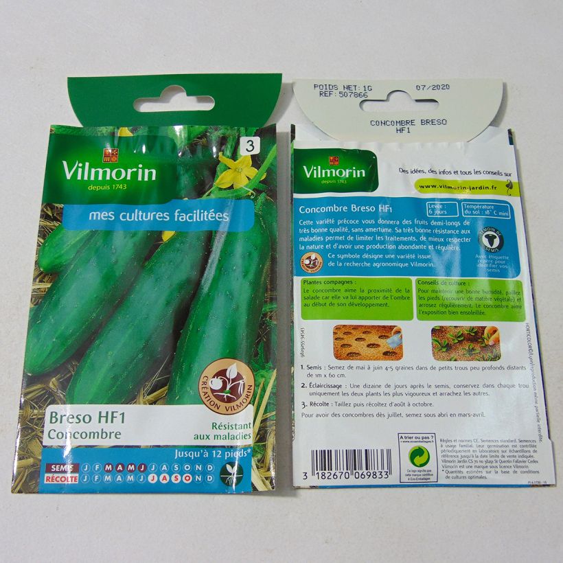 Example of Salat-Gurke Breso F1 - Vilmorin per pack of 35 seeds (1g) as you get