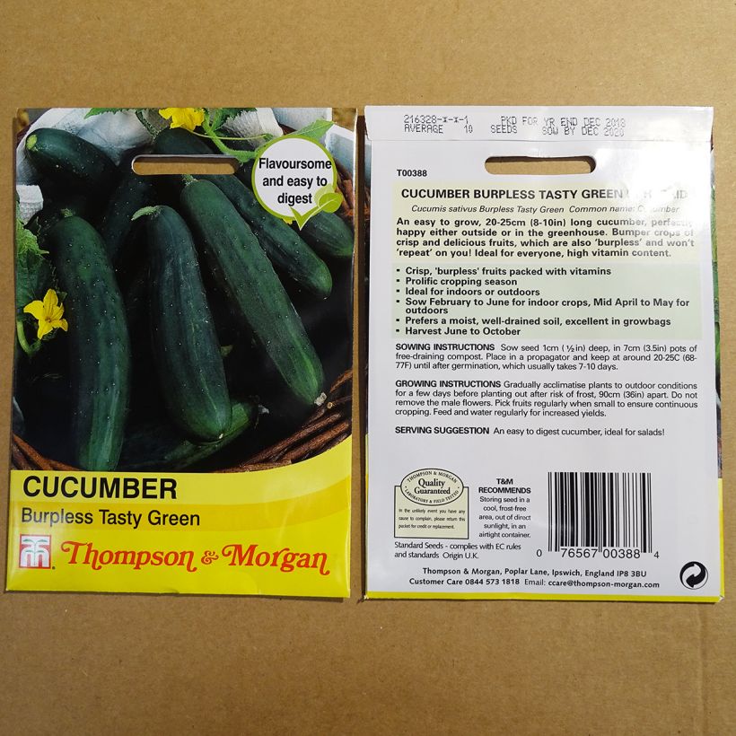 Example of Salat-Gurke Burpless Tasty Green die Tüte mit 10 Samen as you get