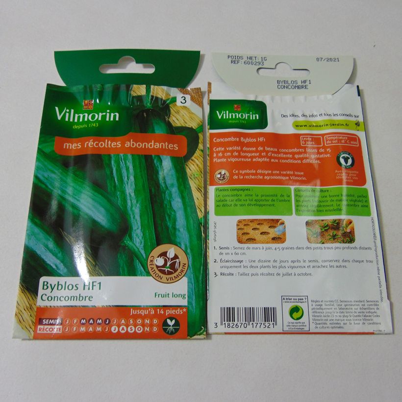 Example of Snack-Gurke Byblos - Vilmorin die Tüte mit 35 Samen (1g) as you get