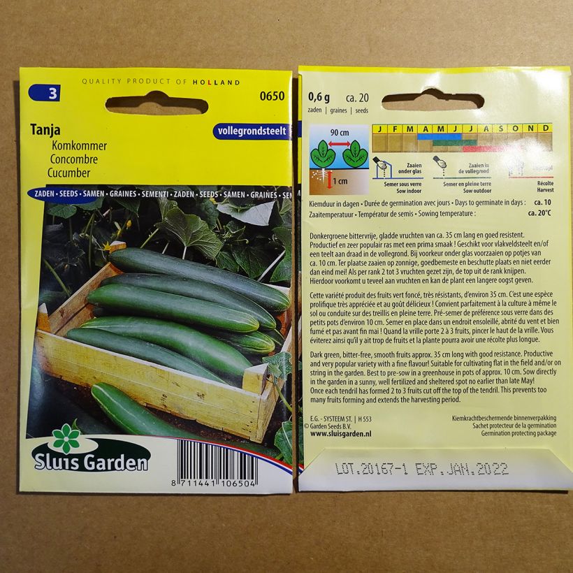Example of Salat-Gurke Tanja per pack of 20 seeds as you get