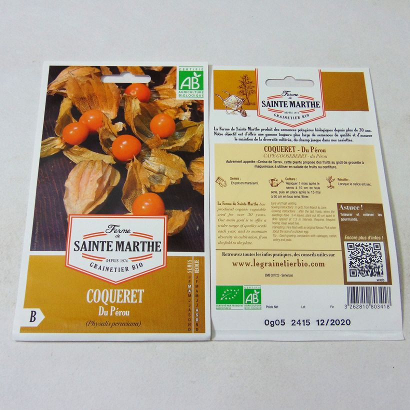 Example of Andenbeere - Physalis edulis per pack of 50 seeds as you get