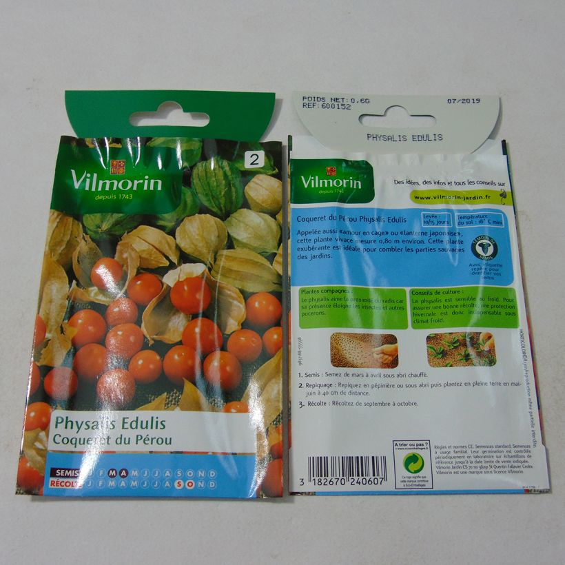 Example of Andenbeere - Vilmorin - Physalis edulis per 0.6 g seed pack as you get