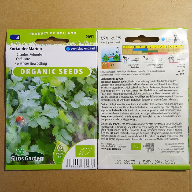 Example of Koriander Marino Bio per pack of 325 seeds (2g) as you get