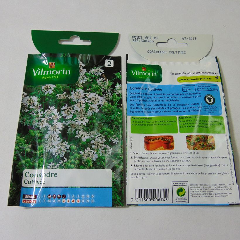 Example of Koriander - Vilmorin per pack of 360 seeds (4g) as you get