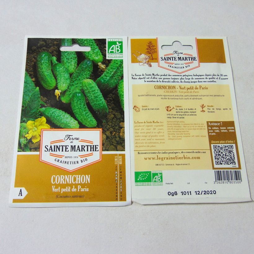 Example of Einlegegurke Vert Petit de Paris Bio - Ferme de Sainte Marthe per pack of 20 seeds as you get