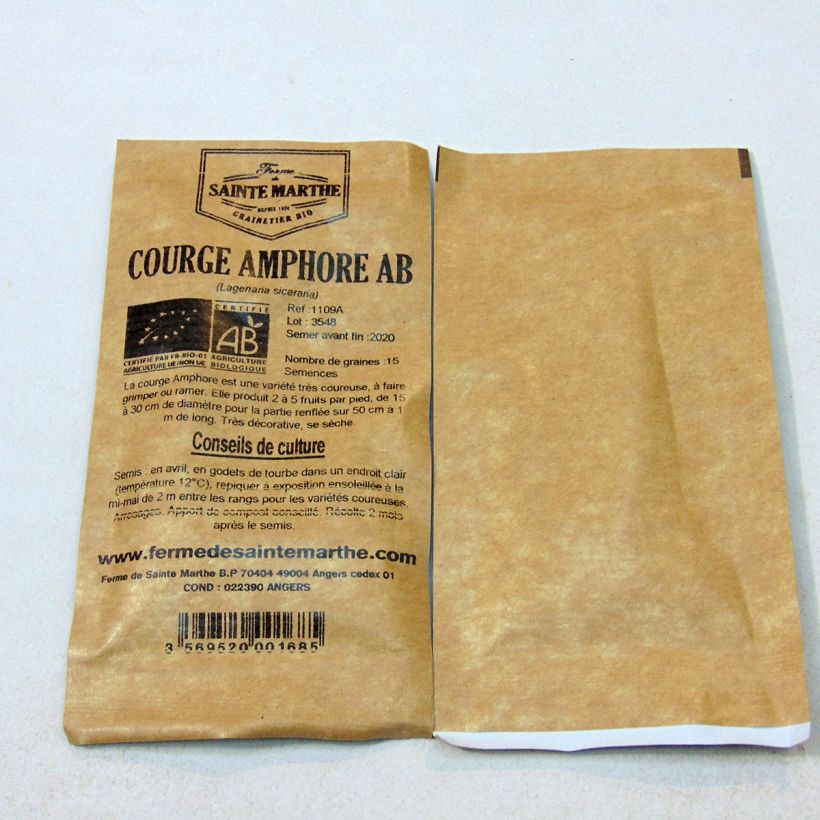 Example of Flaschenkürbis Amphore per pack of 15 seeds (3g) as you get