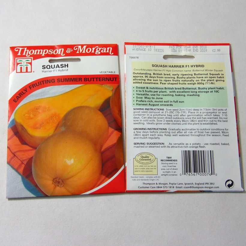 Example of Moschus-Kürbis Butternut Harrier F1 die Tüte mit 10 Samen as you get