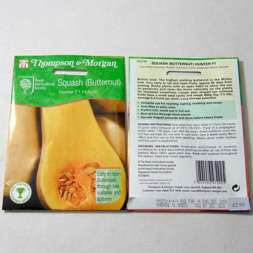 Example of Moschus-Kürbis Butternut Hunter F1 per pack of 12 seeds as you get