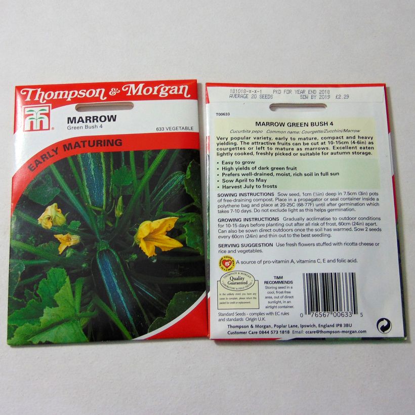 Example of Garten-Kürbis Green Bush 4 per pack of 25 seeds as you get