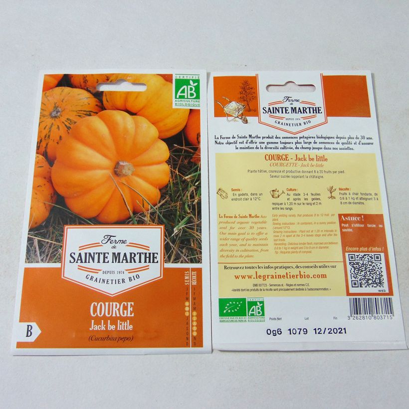 Example of Miniaturkürbis Jack Be Little Bio - Ferme de Sainte Marthe per pack of 8 seeds (0.6g) as you get