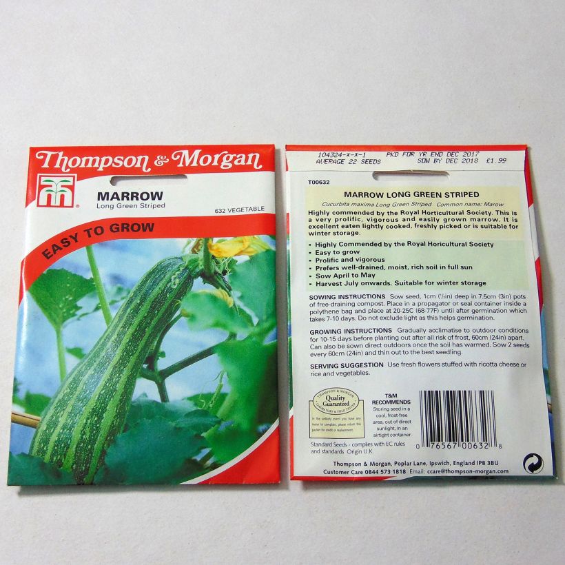 Example of Garten-Kürbis Long Green Striped per pack of 22 seeds as you get