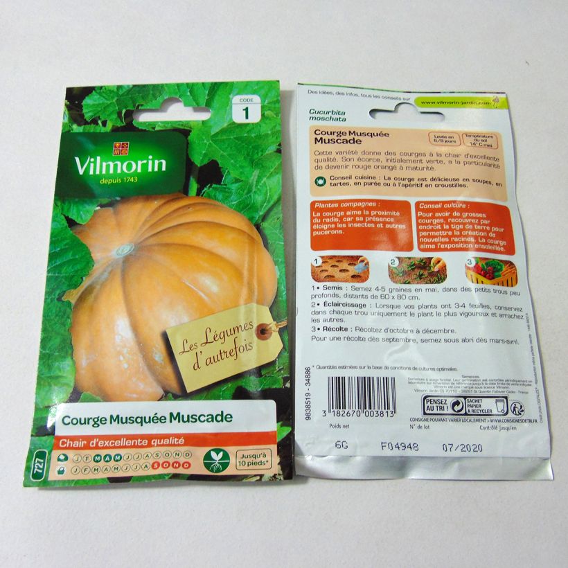 Example of Moschus-Kürbis Musquée d'hiver de Provence - Vilmorin die Tüte mit 35 Samen (6g) as you get