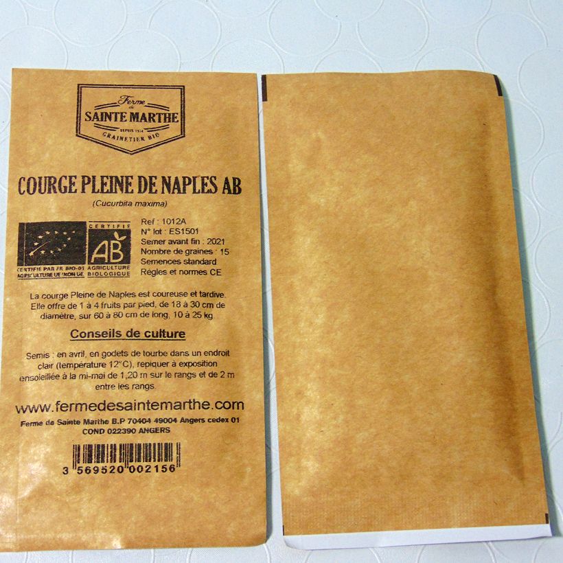 Example of Moschus-Kürbis Pleine de Naples Bio - Ferme de Sainte Marthe per pack of 15 seeds (2g) as you get