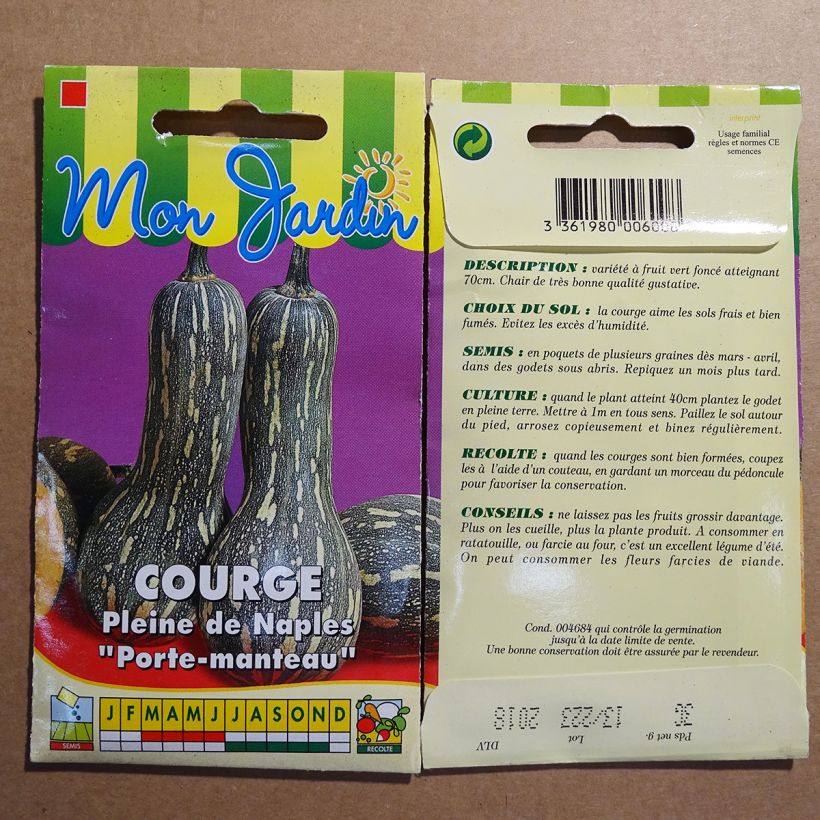 Example of Moschus-Kürbis Pleine de Naples per pack of 15 seeds (2g) as you get