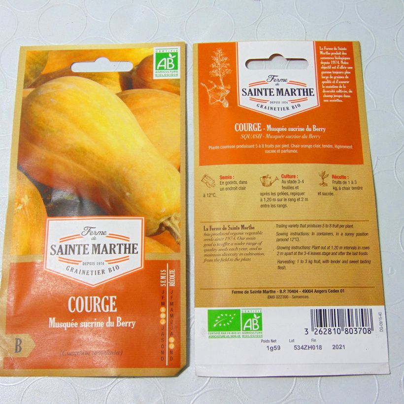Example of Moschus-Kürbis Musquée Sucrine du Berry Bio - Ferme de Sainte Marthe per pack of 8 seeds (1.2g) as you get