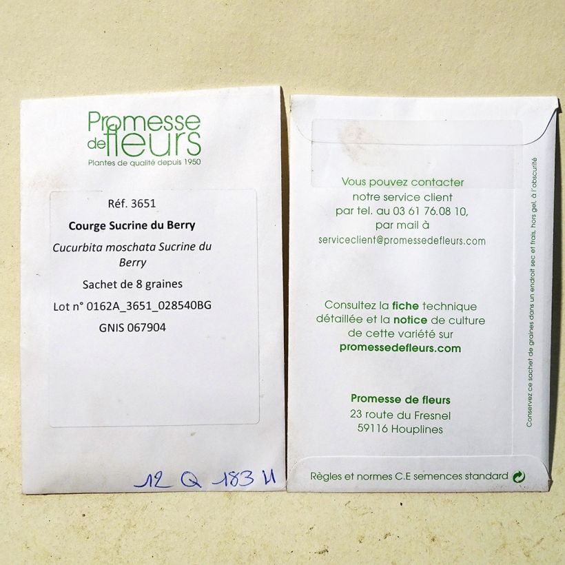Example of Moschus-Kürbis Sucrine du Berry per pack of 8 seeds as you get