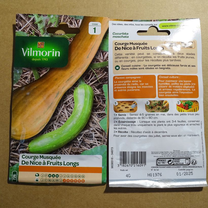 Example of Garten-Kürbis Longue de Nice - Vilmorin die Tüte mit 24 Samen (4g) as you get