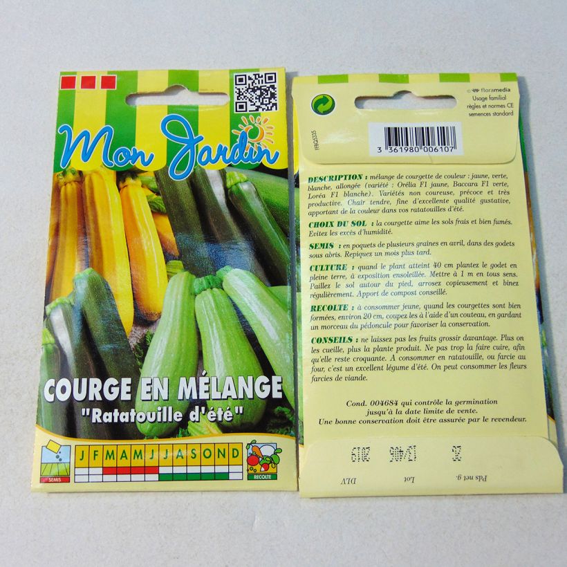 Example of Garten-Kürbis per pack of 12 seeds (2g) as you get
