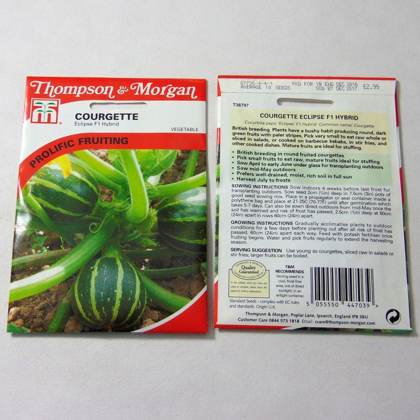 Example of Garten-Kürbis Eclipse F1 per pack of 10 seeds as you get