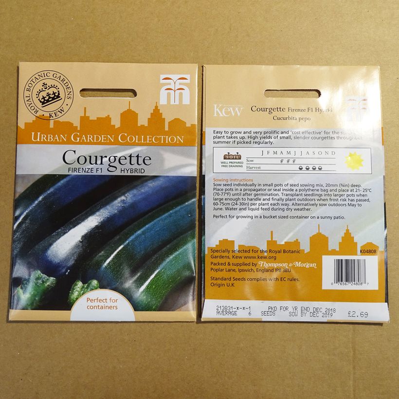Example of Garten-Kürbis Firenze per pack of 6 seeds as you get