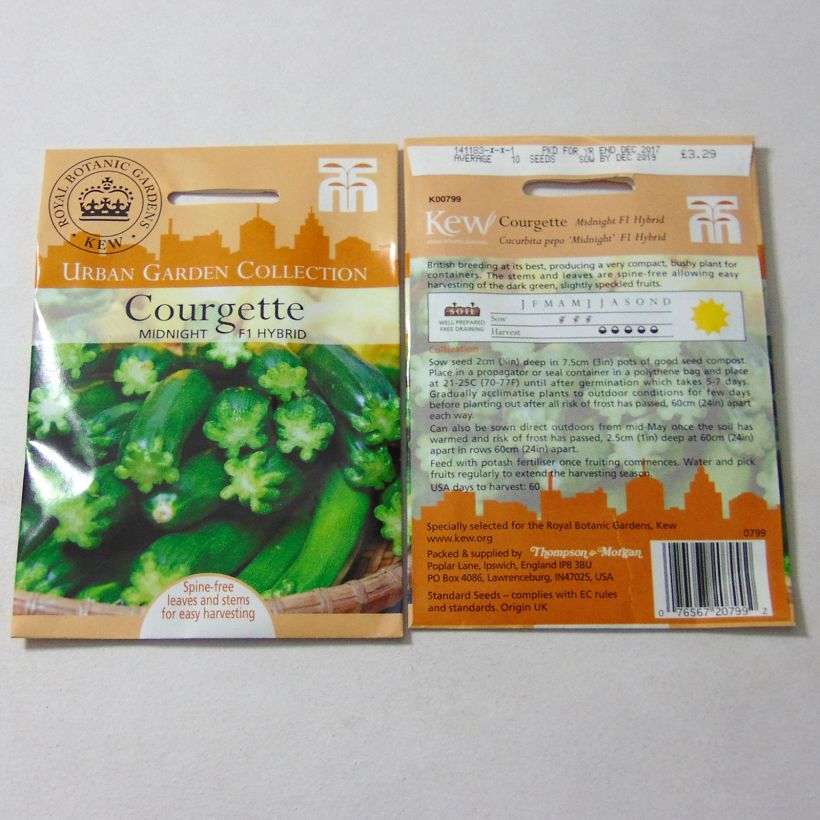 Example of Garten-Kürbis Midnight F1 per pack of 10 seeds as you get