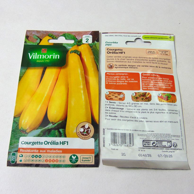 Example of Garten-Kürbis Orelia F1 - Vilmorin per pack of 12 seeds (2g) as you get