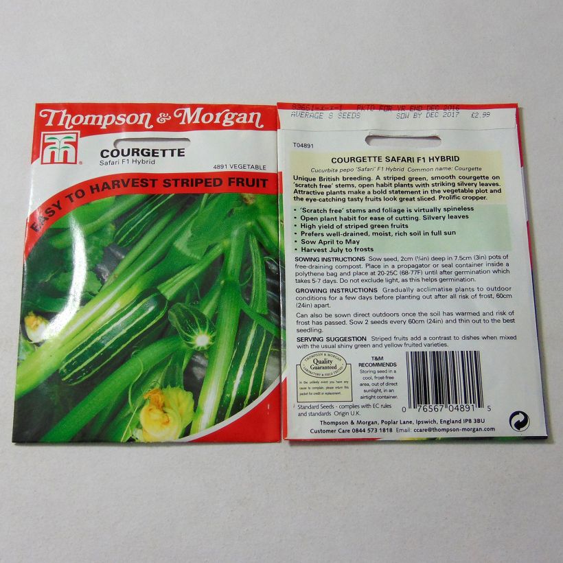 Example of Garten-Kürbis Safari F1 per pack of 8 seeds as you get