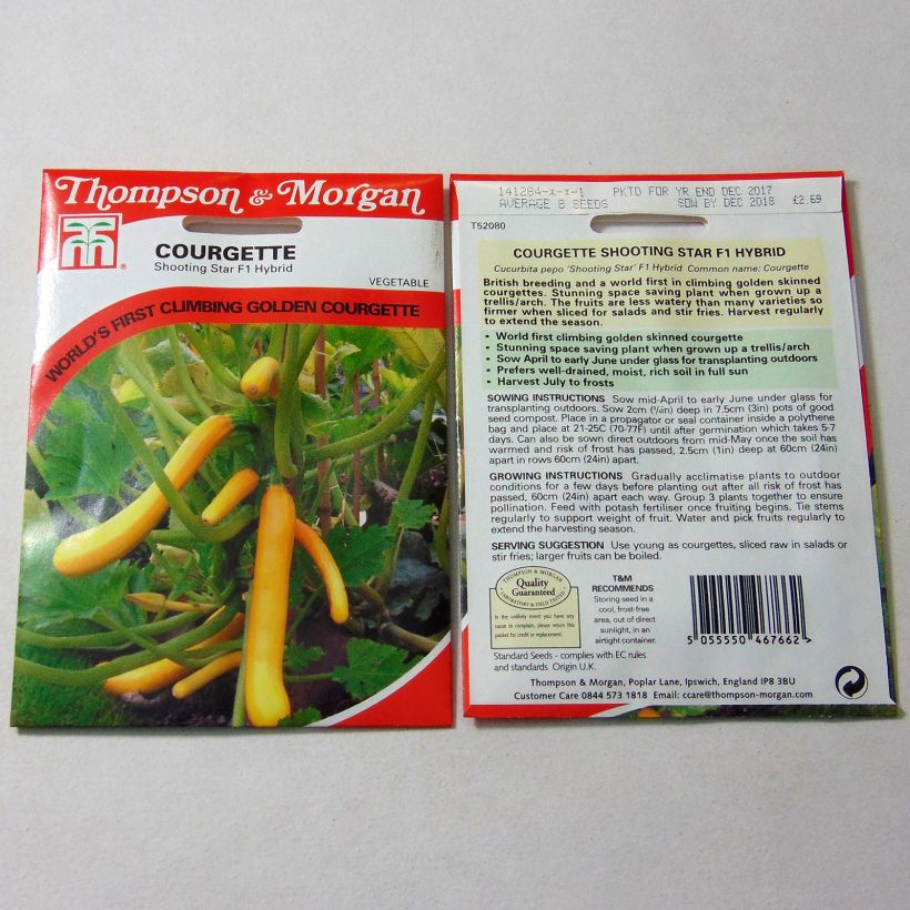 Example of Garten-Kürbis Shooting Star F1 per pack of 8 seeds as you get