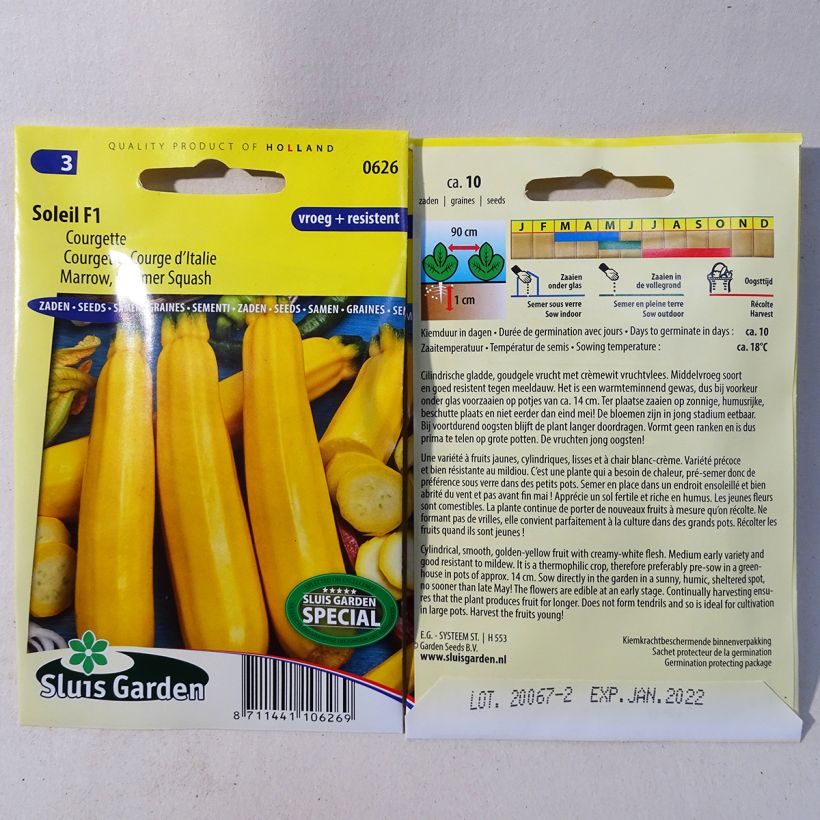 Example of Garten-Kürbis Soleil F1 per pack of 10 seeds as you get
