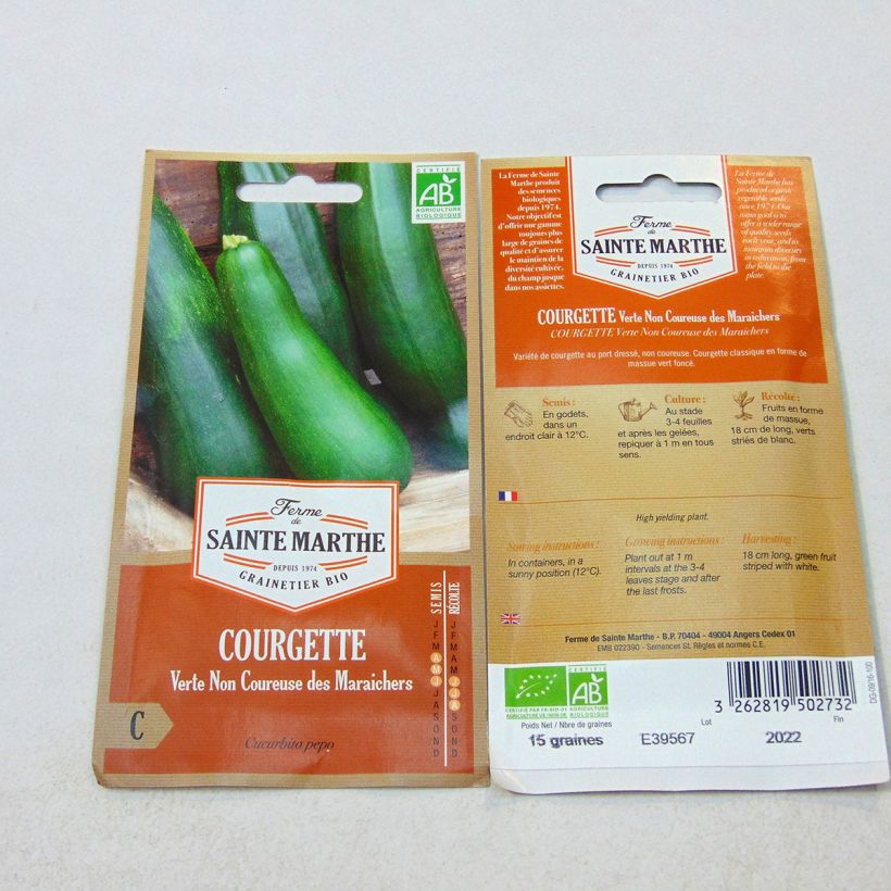 Example of Buschkürbis Verte non coureuse Bio - Ferme de Sainte Marthe per pack of 15 seeds (1g) as you get