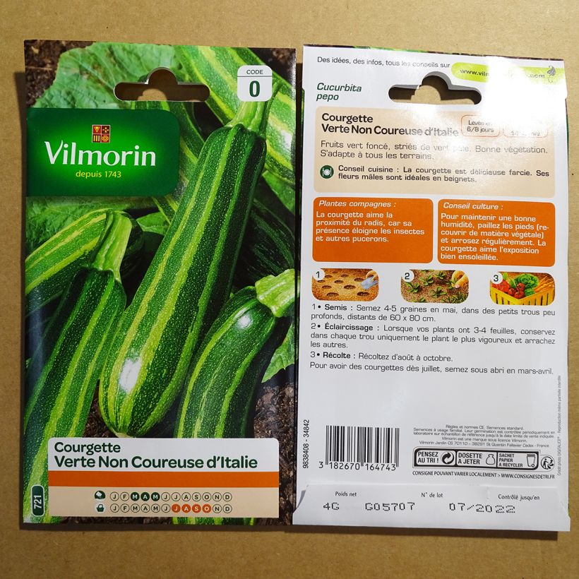 Example of Garten-Kürbis d'Italie - Vilmorin per pack of 40 seeds (4g) as you get