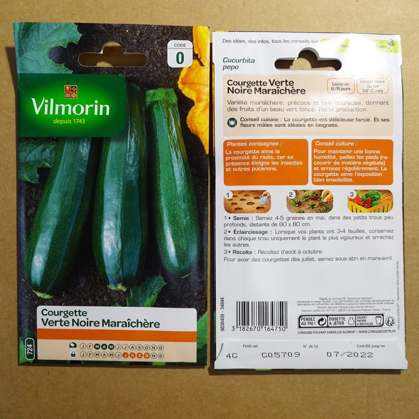 Example of Garten-Kürbis verte noire - Vilmorin per pack of 40 seeds (4g) as you get