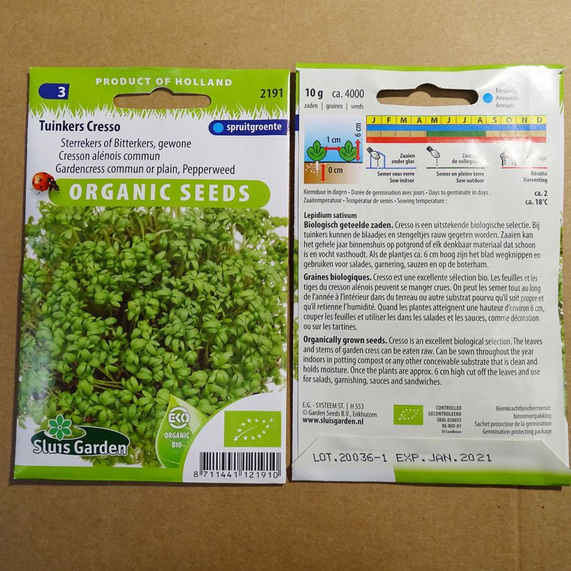 Example of Garten-Kresse Bio - Lepidium sativum per pack of 3650 seeds (10g) as you get