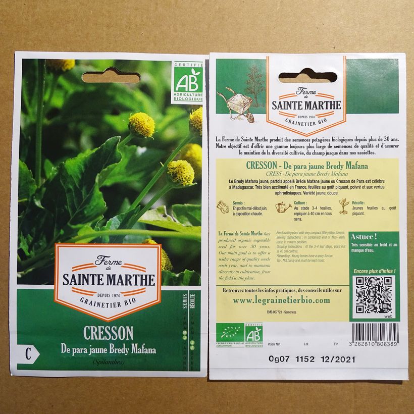 Example of Parakresse de Para Jaune Bredy Mafana - Spilanthes oleracea per pack of 250 seeds as you get