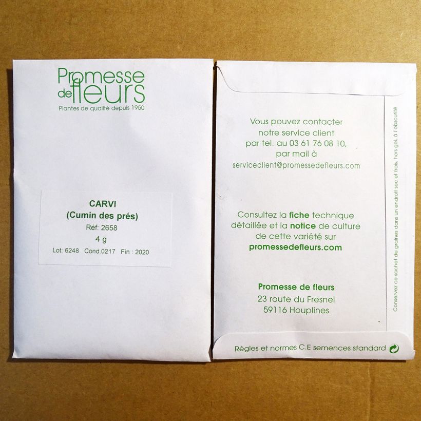 Example of Echter Kümmel - Carum carvi (Samen) per pack of 1250 seeds (4g) as you get
