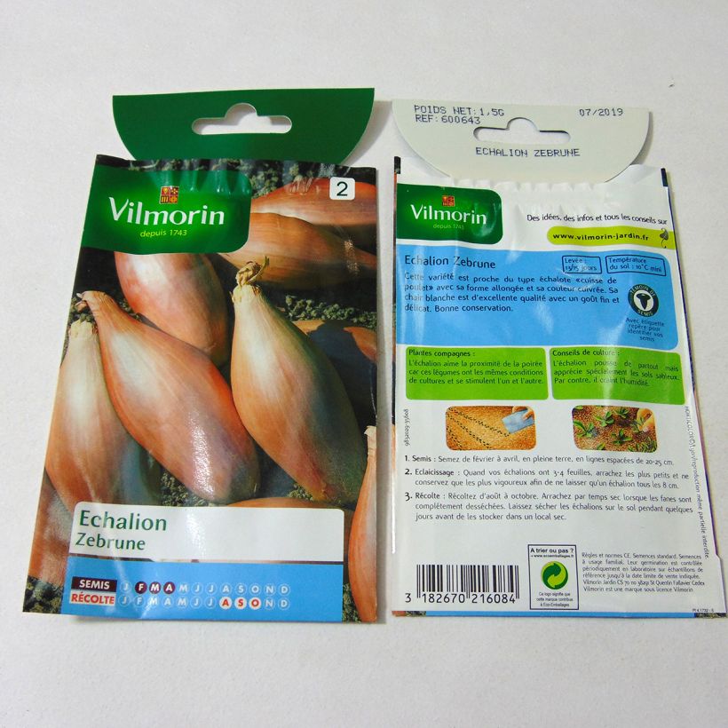 Example of Schalotte Zebrune - Vilmorin per 2 g seed pack as you get