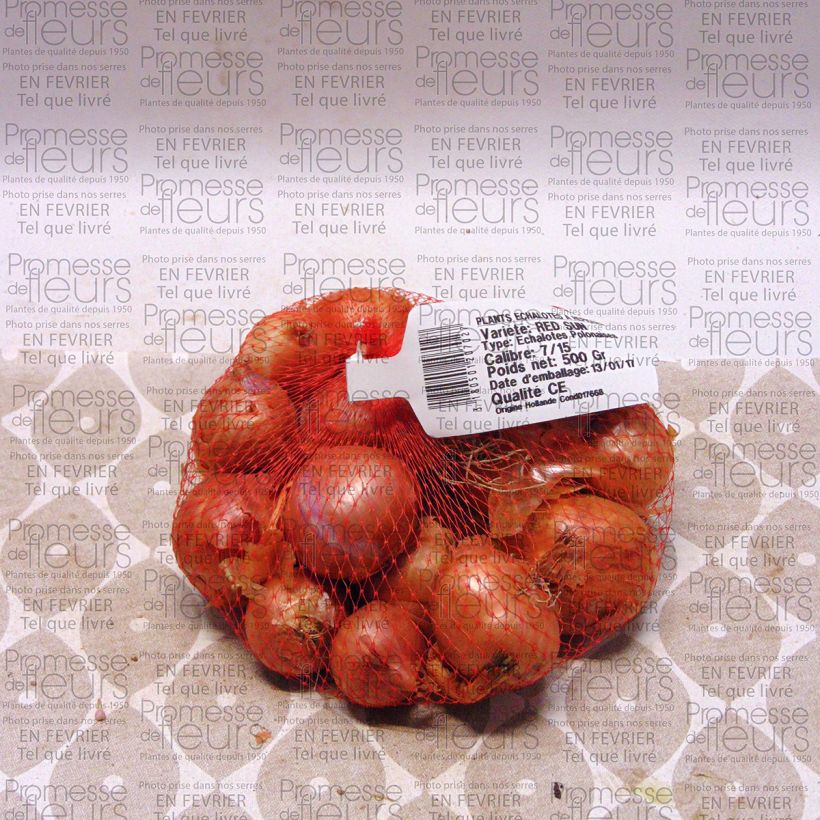 Example of Schalotte Red Sun Stück size 7/15 mm as you get