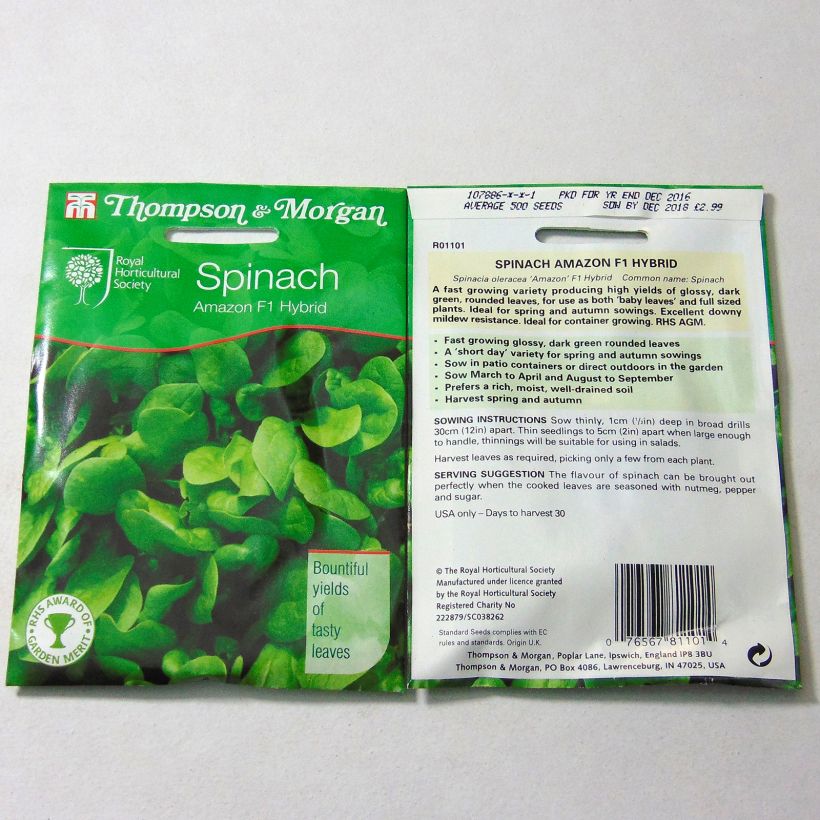 Example of Spinat Amazon F1 (Samen) per pack of 500 seeds as you get