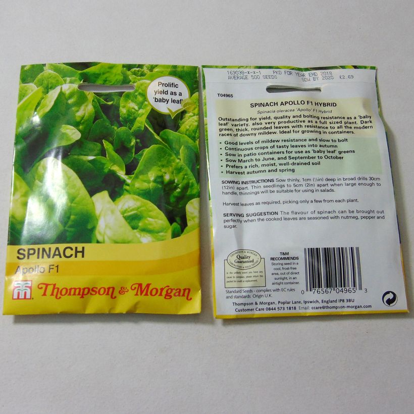 Example of Spinat Apollo per pack of 500 seeds as you get