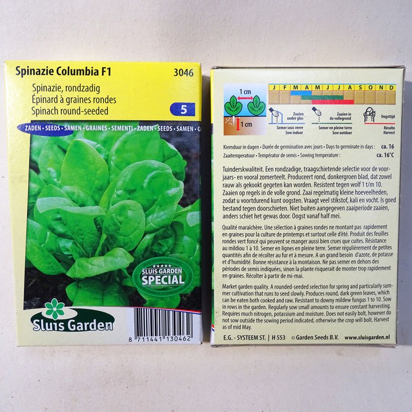 Example of Spinat Columbia F1 per pack of 6500 seeds (65g) as you get